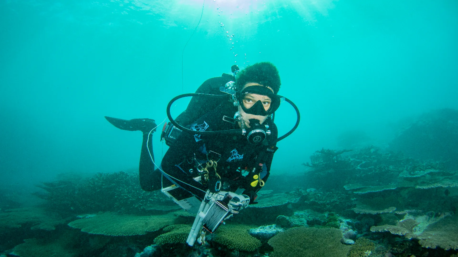Costa Rica Scuba Diving Trips: Where to Begin