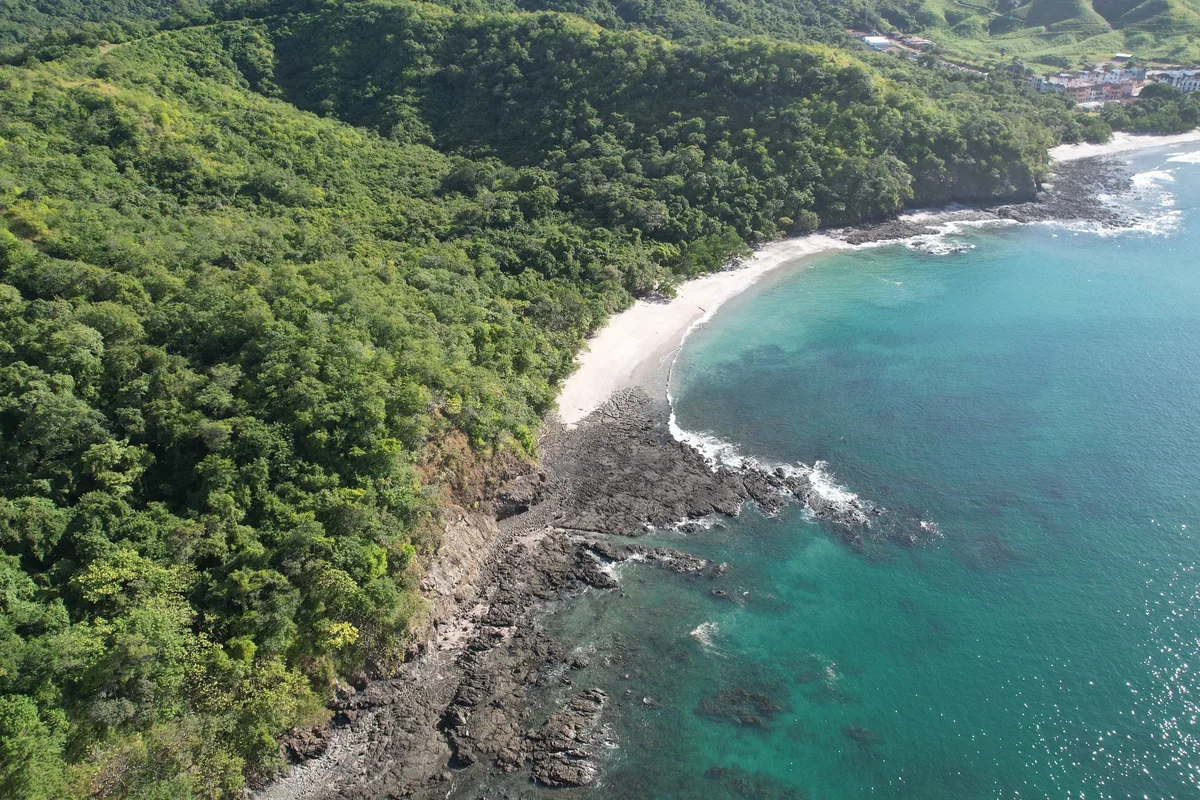 Bat Islands / Islas Murciélago