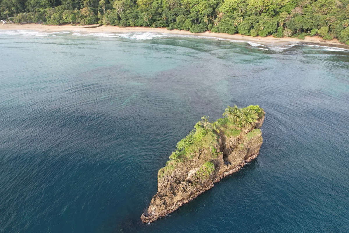 Caribbean Coast (Cahuita & Puerto Viejo)