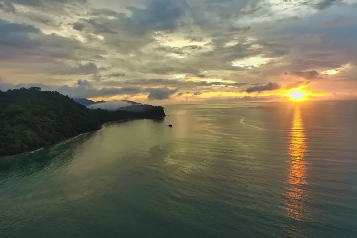 Isla del Caño Biological Reserve Guided Snorkeling Excursion from Drake Bay